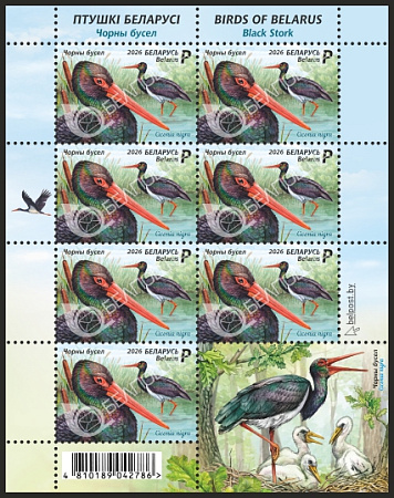 Беларусь, 2026, Птица Года. Аист, малый лист с купоном